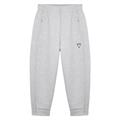Palau Icon 7/8 pant GRY XS Bukse - Dame